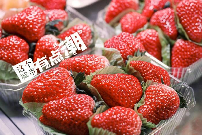 丹東：這一口鮮甜，開啟冬日“莓”好時光