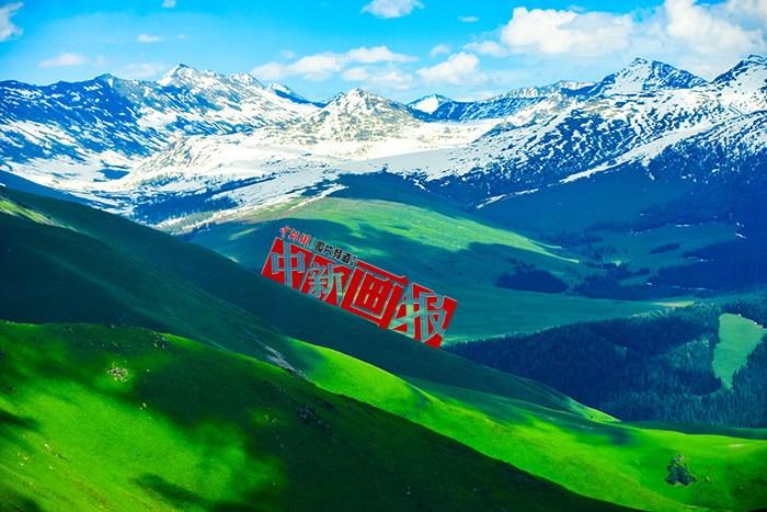 將夏天的“綠” 裝進(jìn)屏幕里，一組護(hù)眼壁紙請(qǐng)查收！