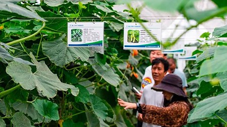 空間站與“卡脖子”，中國在警醒中爭取“逆襲
