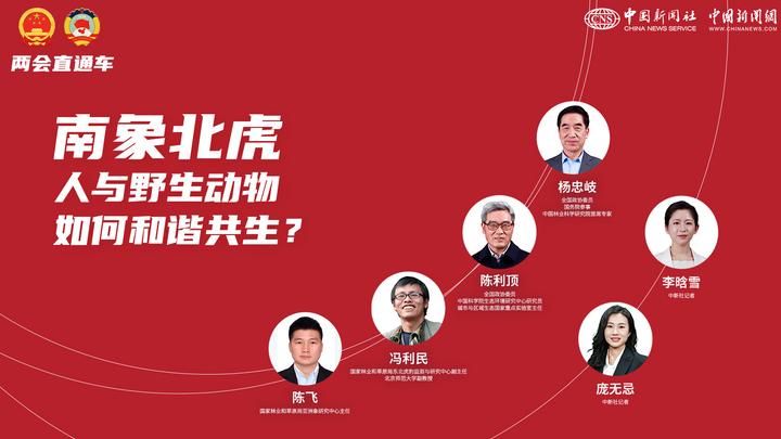 兩會(huì)直通車：南象北虎 人與野生動(dòng)物如何和諧共生？