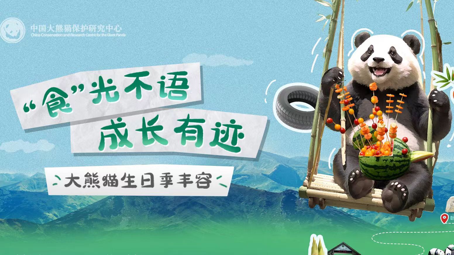  大熊貓也過中秋節(jié)？一起來看國寶的中秋禮物 