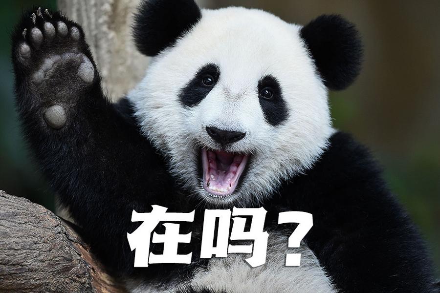 【世界微笑日特刊】嘿嘿，今天你笑了嗎？